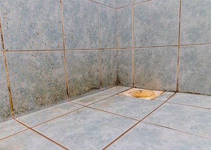 Tile Grout Cleaning in Vancouver, Carpet Cleaning Services in Vancouver