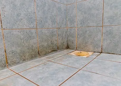 Tile Grout Cleaning in Vancouver, Carpet Cleaning Services in Vancouver