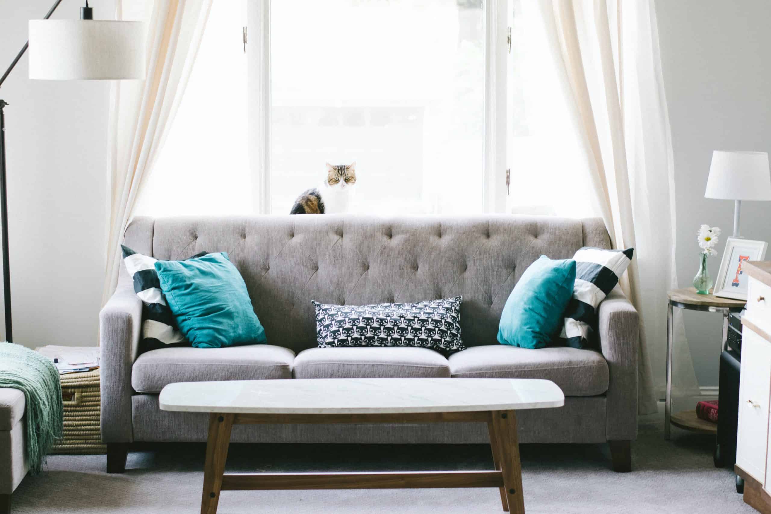 Vancouver Upholstery cleaning services in Vancouver