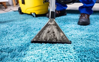 Is Carpet Cleaning Important?