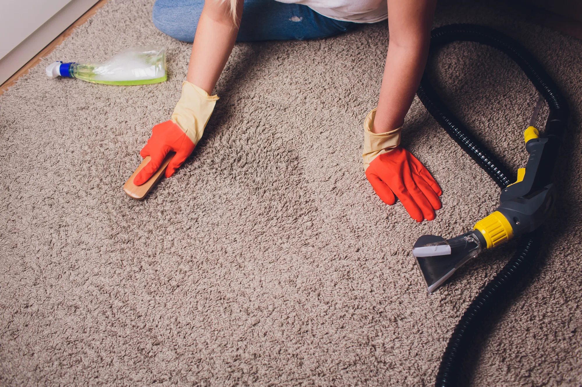 Area Rug Cleaning in Port Coquitlam