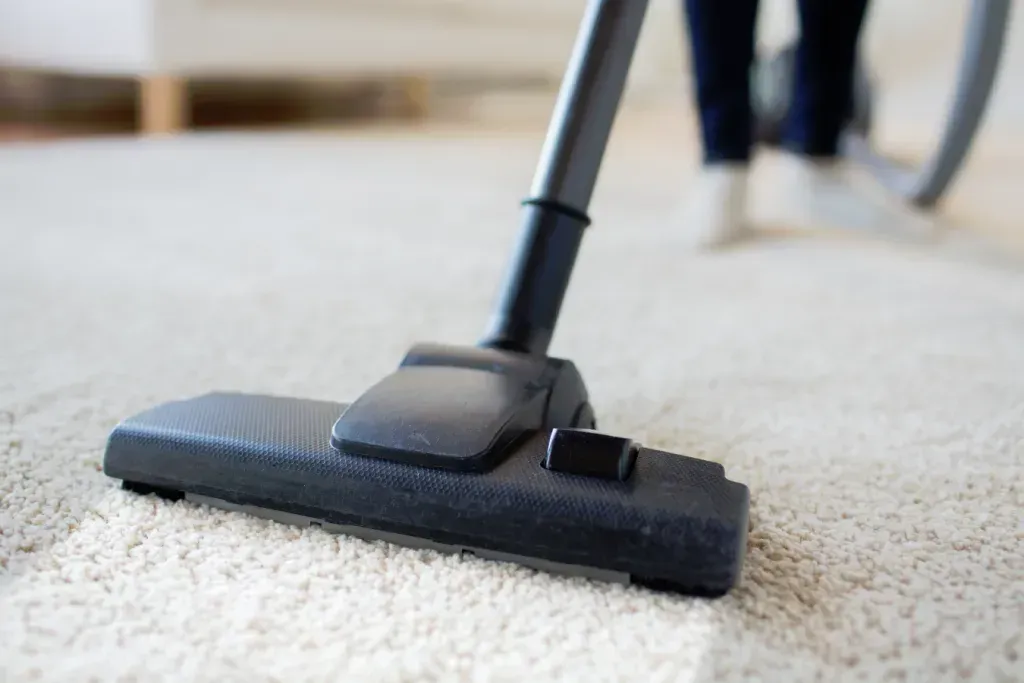 Commercial Carpet Cleaning Maple Ridge