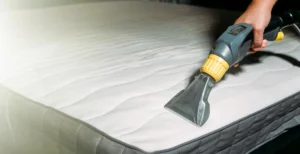 Mattress Cleaning in Port Coquitlam