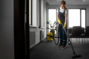 Professional Residential Cleaning in Langley 1