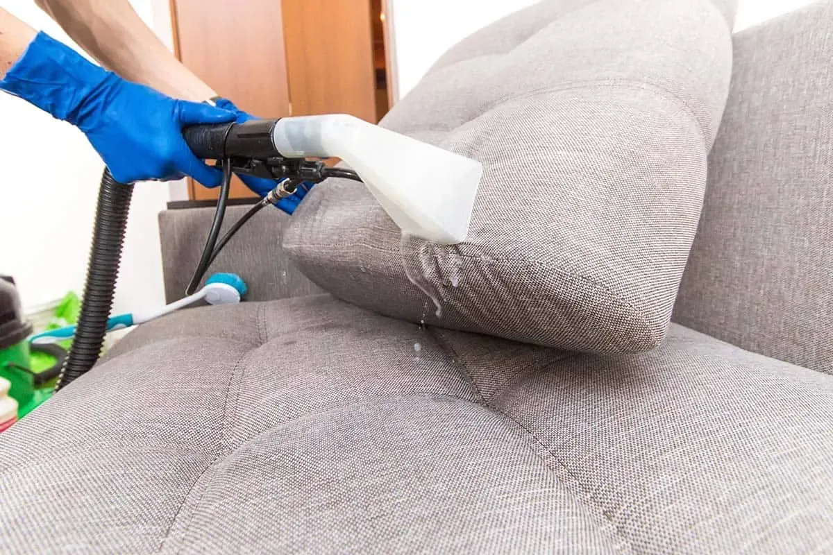 Professional Upholstery Cleaning in Maple Ridge