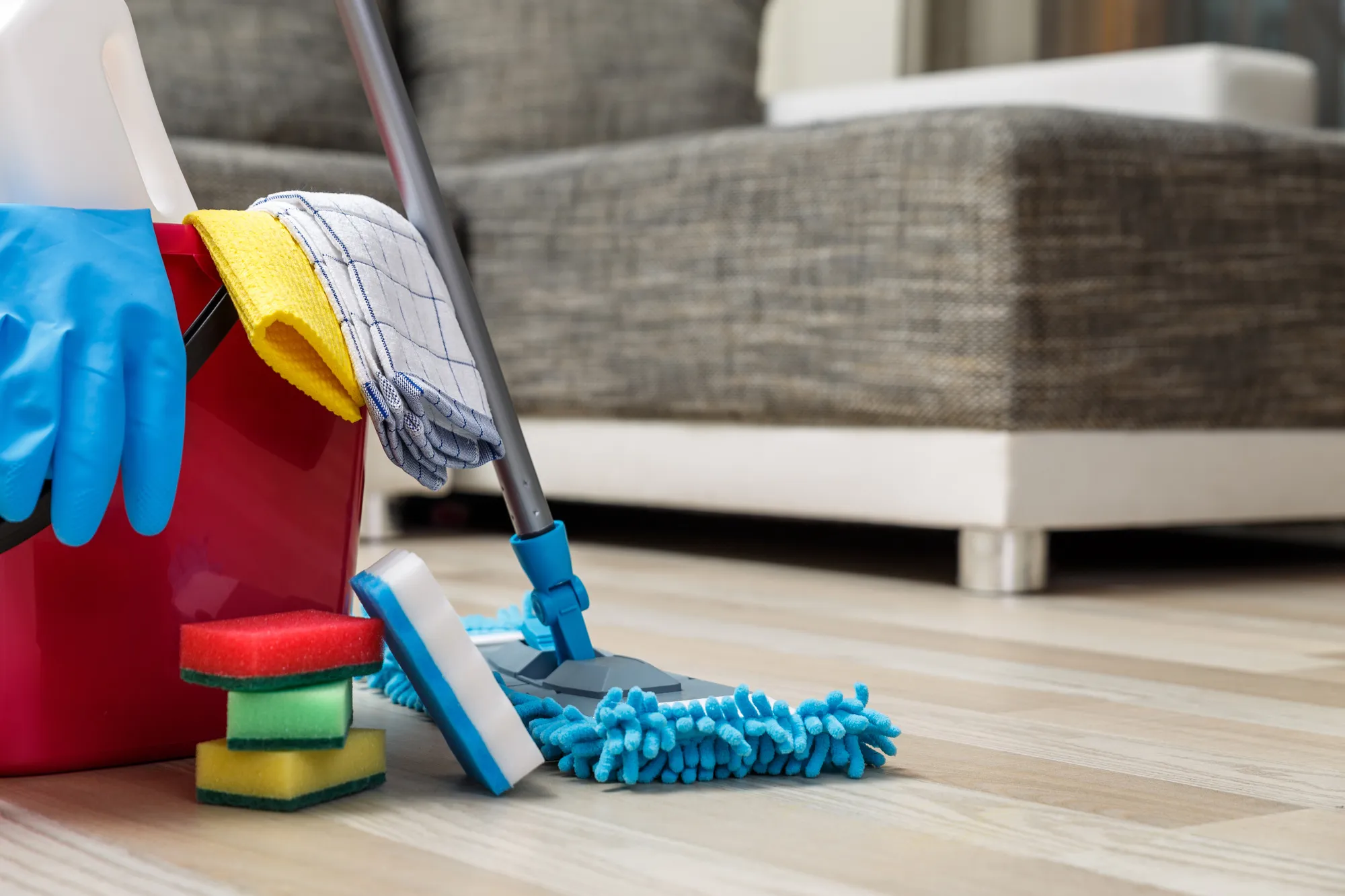 Upholstery Cleaning Maple Ridge