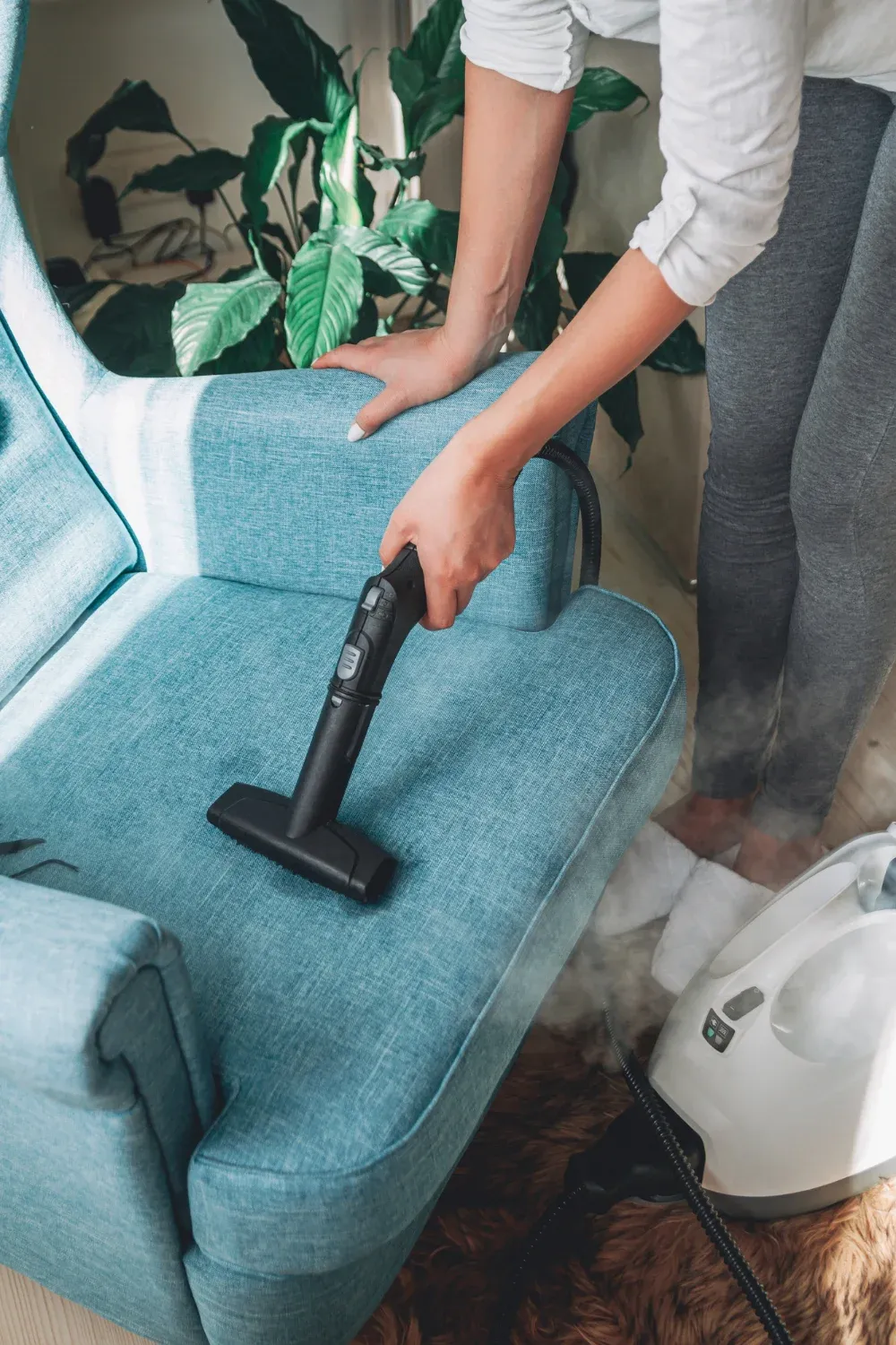 Top Coquitlam Upholstery Cleaning Services