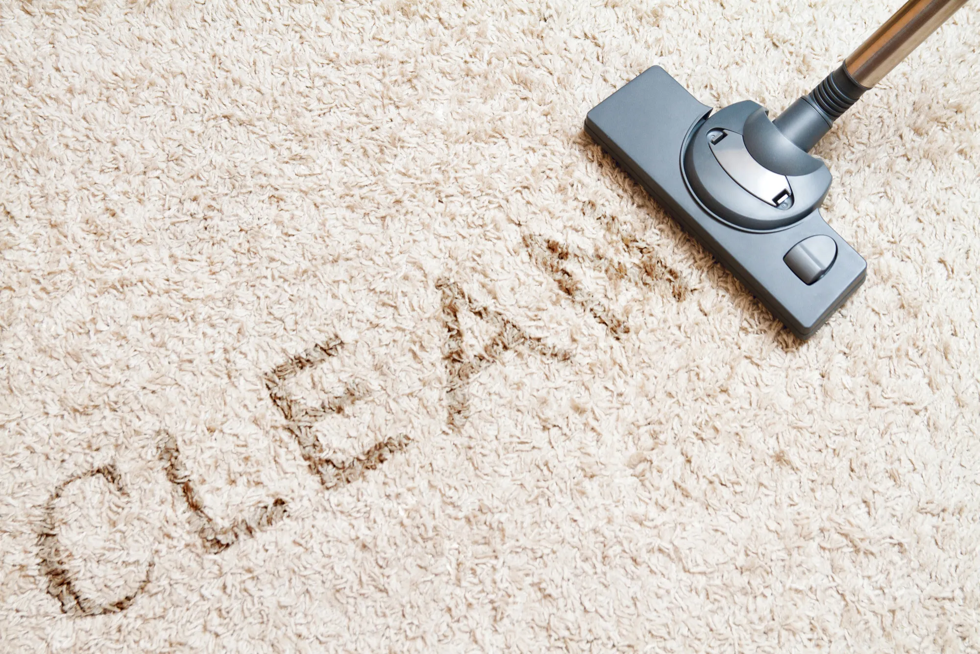 West Vancouver Area Rug Cleaning services