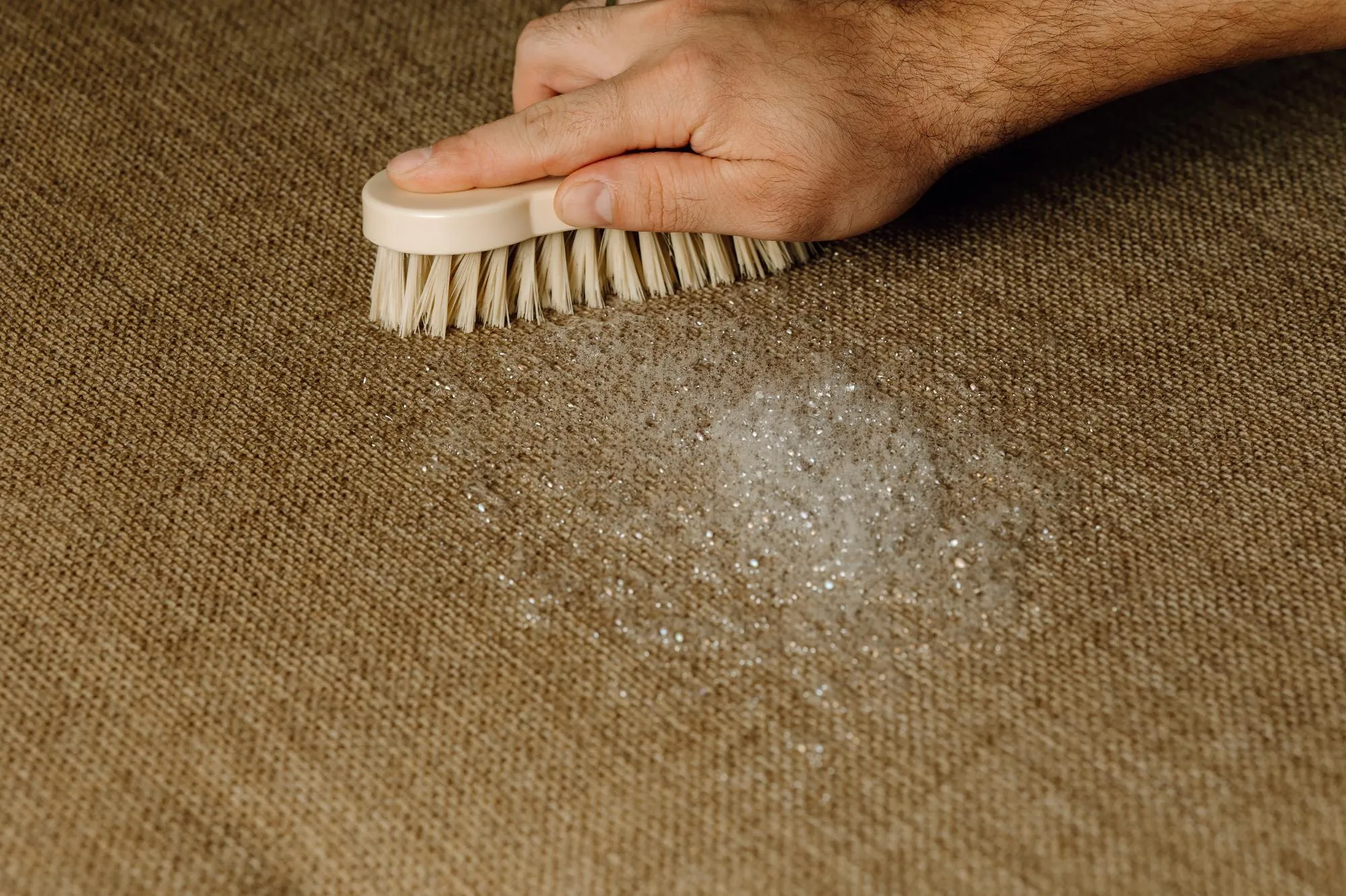 West Vancouver Area Rug Cleaning