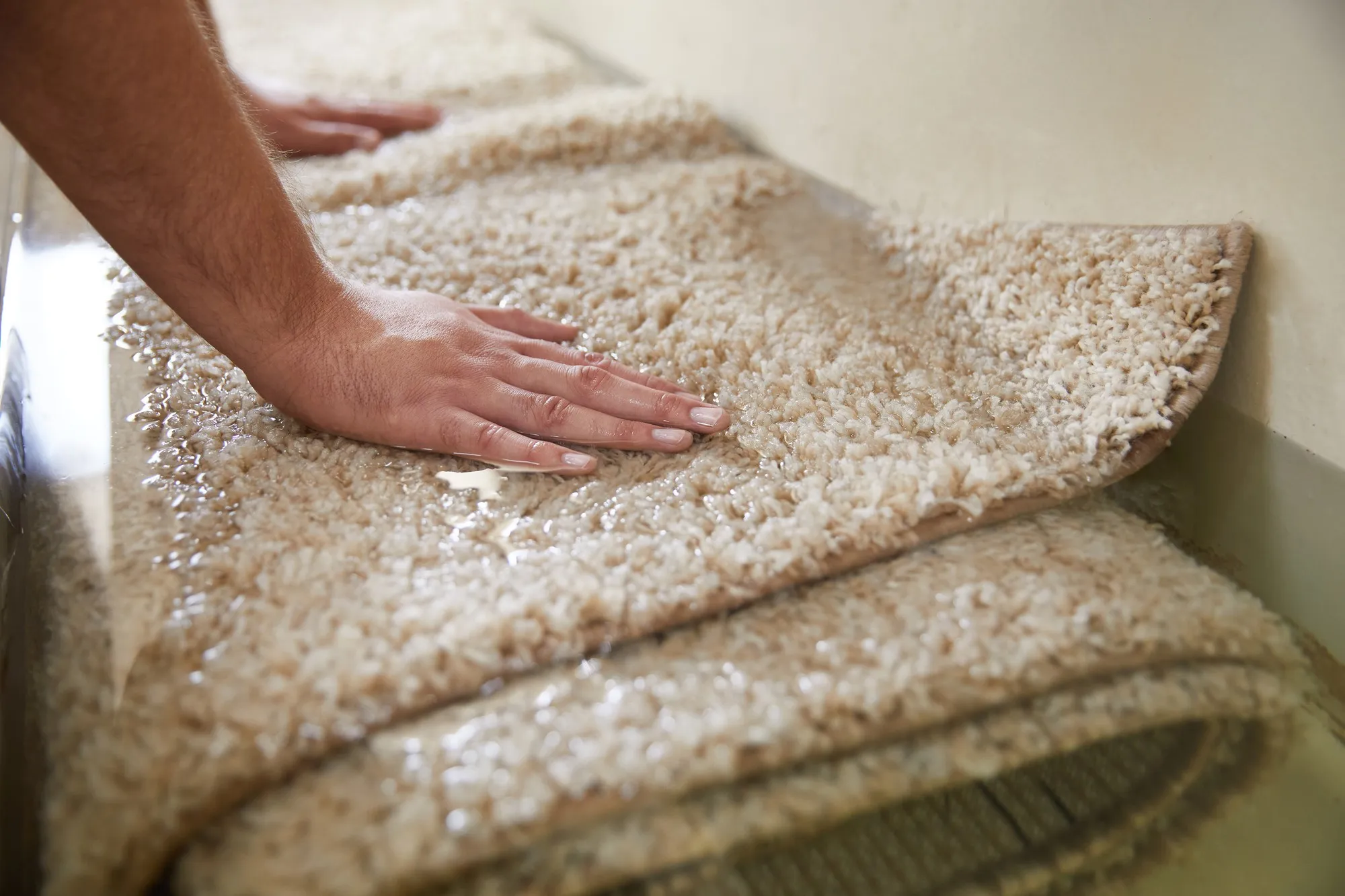 area rug cleaners in Richmond