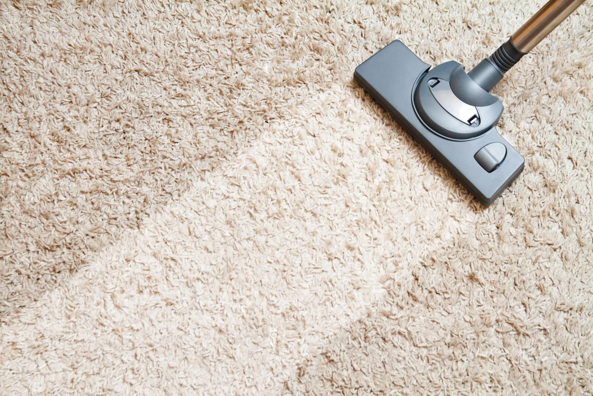 Carpet Cleaning Company in Port Moody