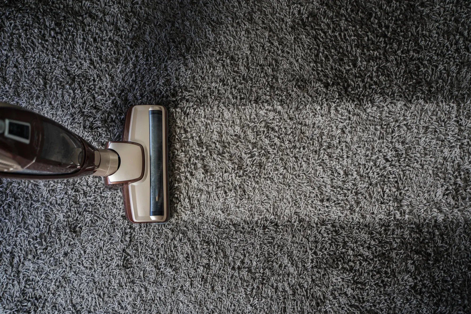 Carpet Cleaning services in Port Moody