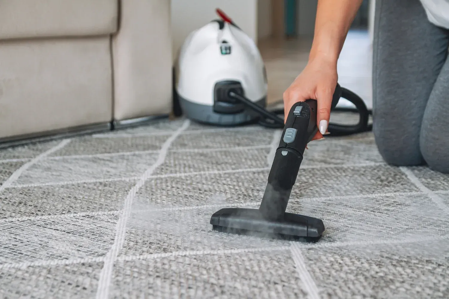 best carpet cleaning in abbotsford