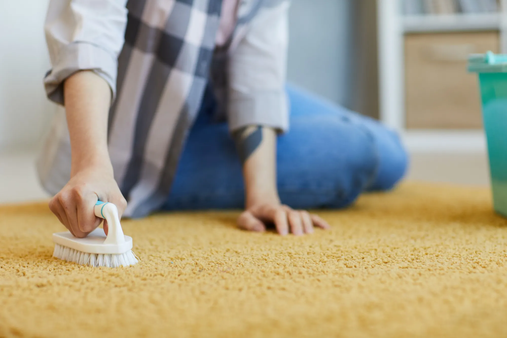 carpet cleaners in new westminster