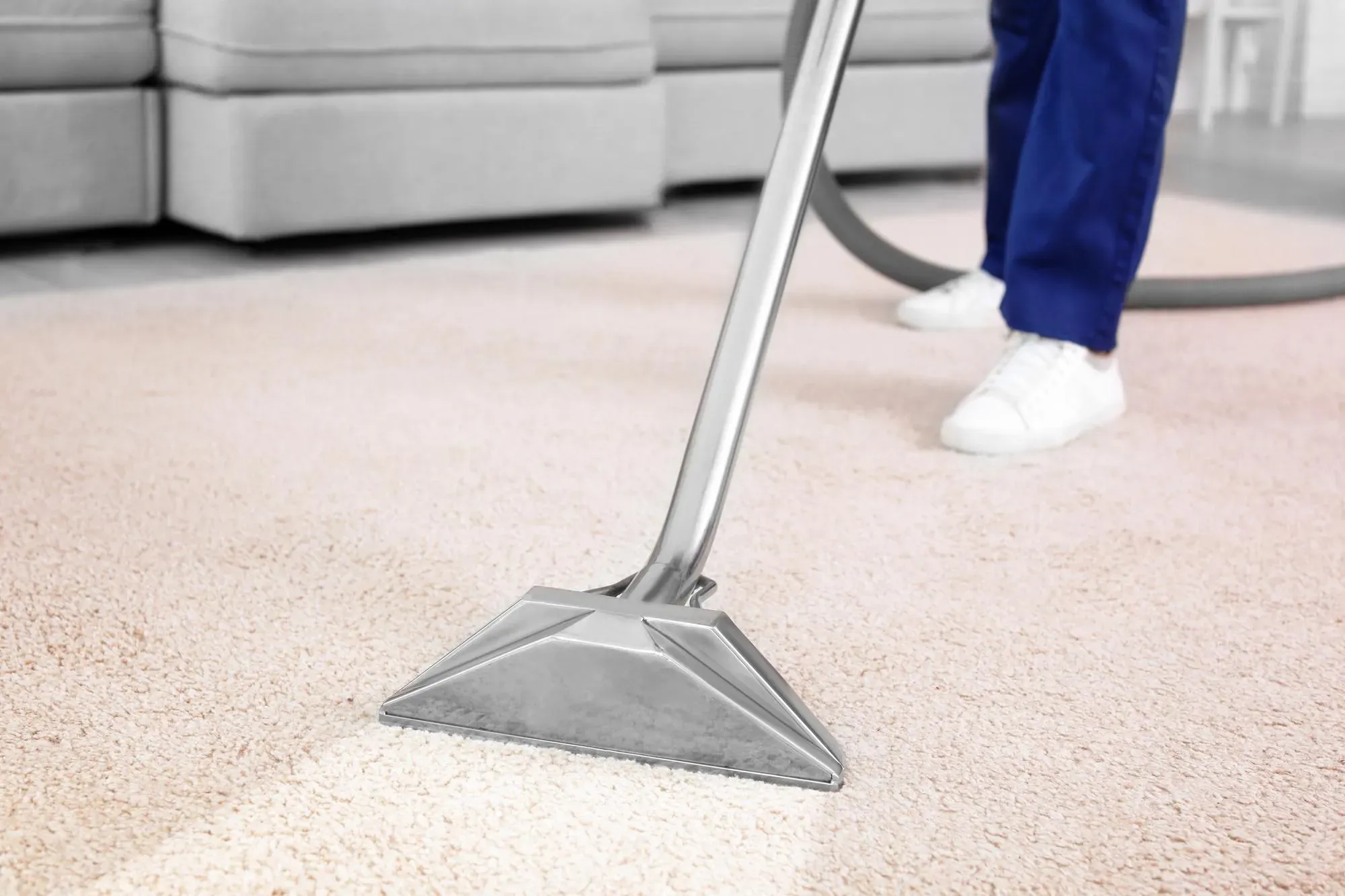 carpet cleaners services