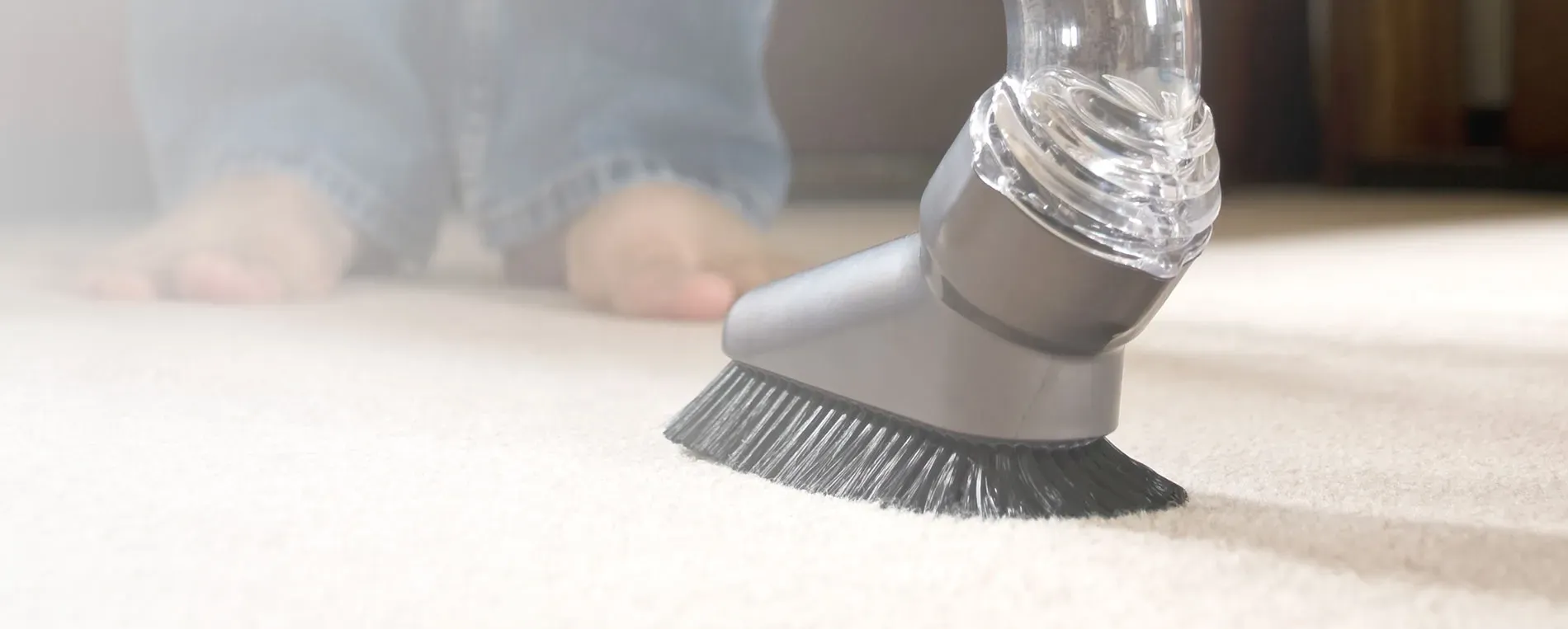 carpet cleaning company in maple ridge