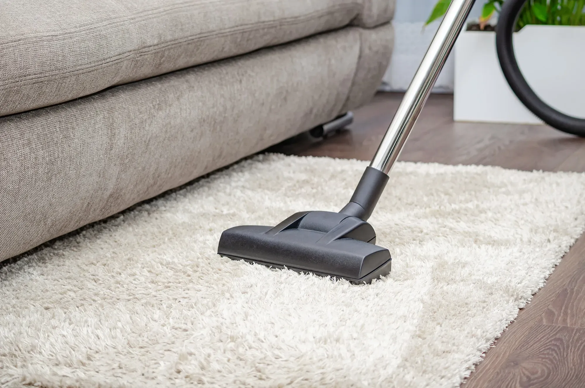 carpet cleaning in Nanaimo