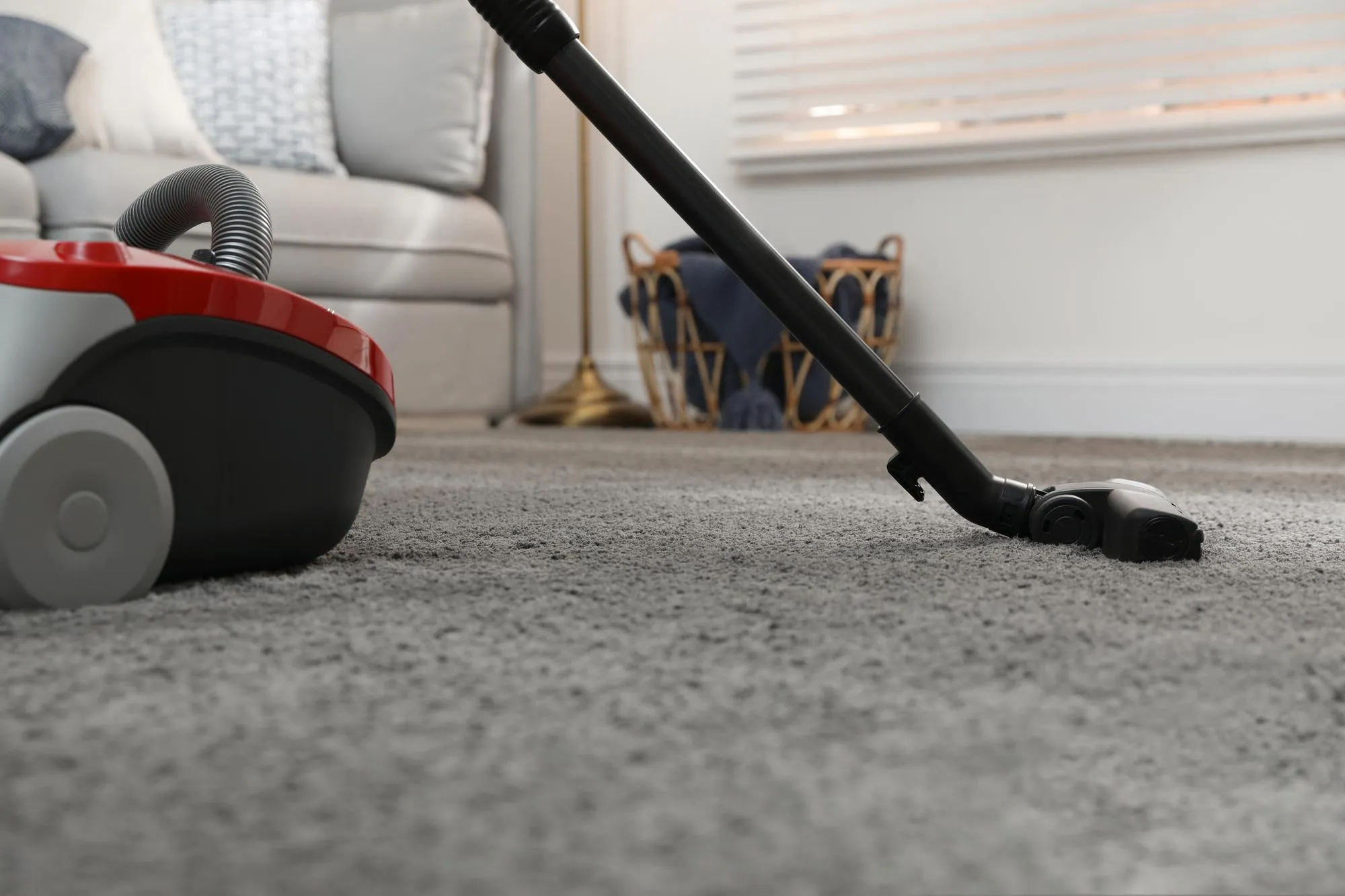 carpet cleaning in new westminster bc