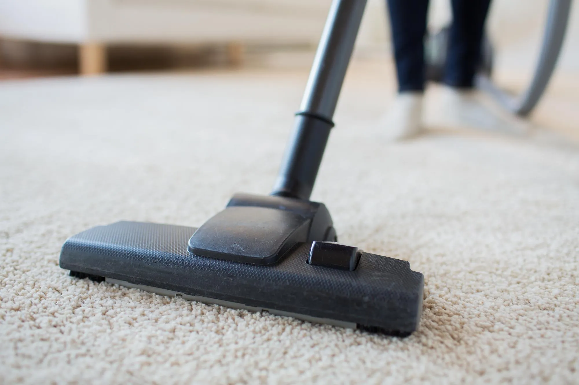 professional surrey carpet cleaners