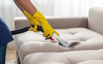 Do-It-Yourself vs. Professional Upholstery Cleaning: What To Choose?