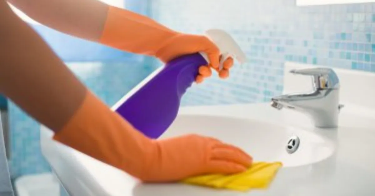 Expert cleaning services