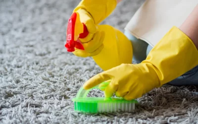 Protecting Your Investment: How Area Rug Cleaning Prolongs Their Lifespan