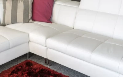 Seasonal Impact on Carpets and Upholstery