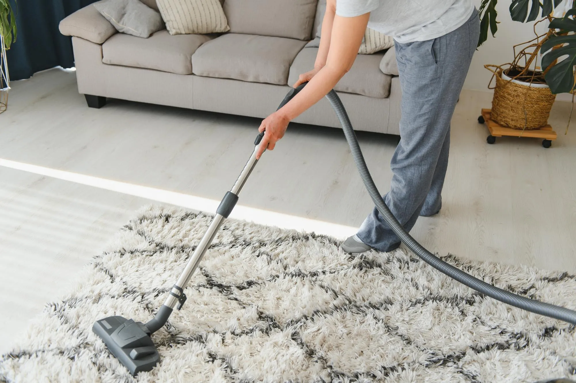 best carpet cleaning services in burnaby