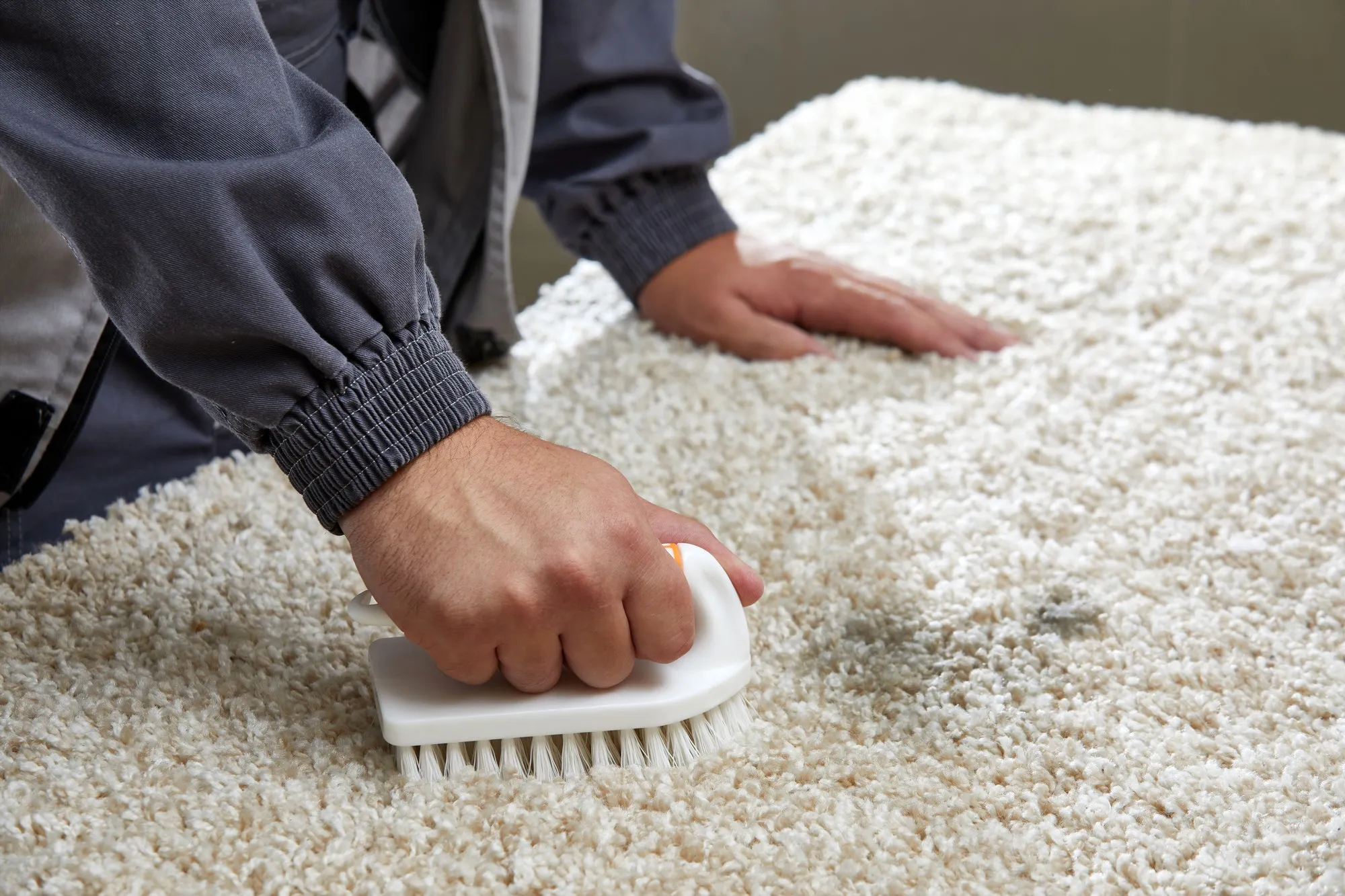 reliable carpet cleaning in New Westminster