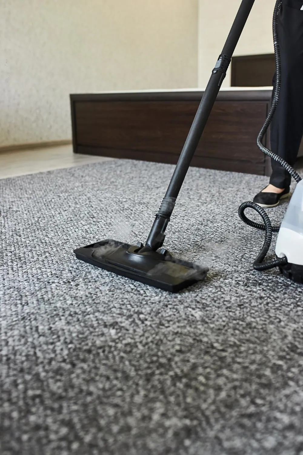 Best Carpet Cleaning Near Me
