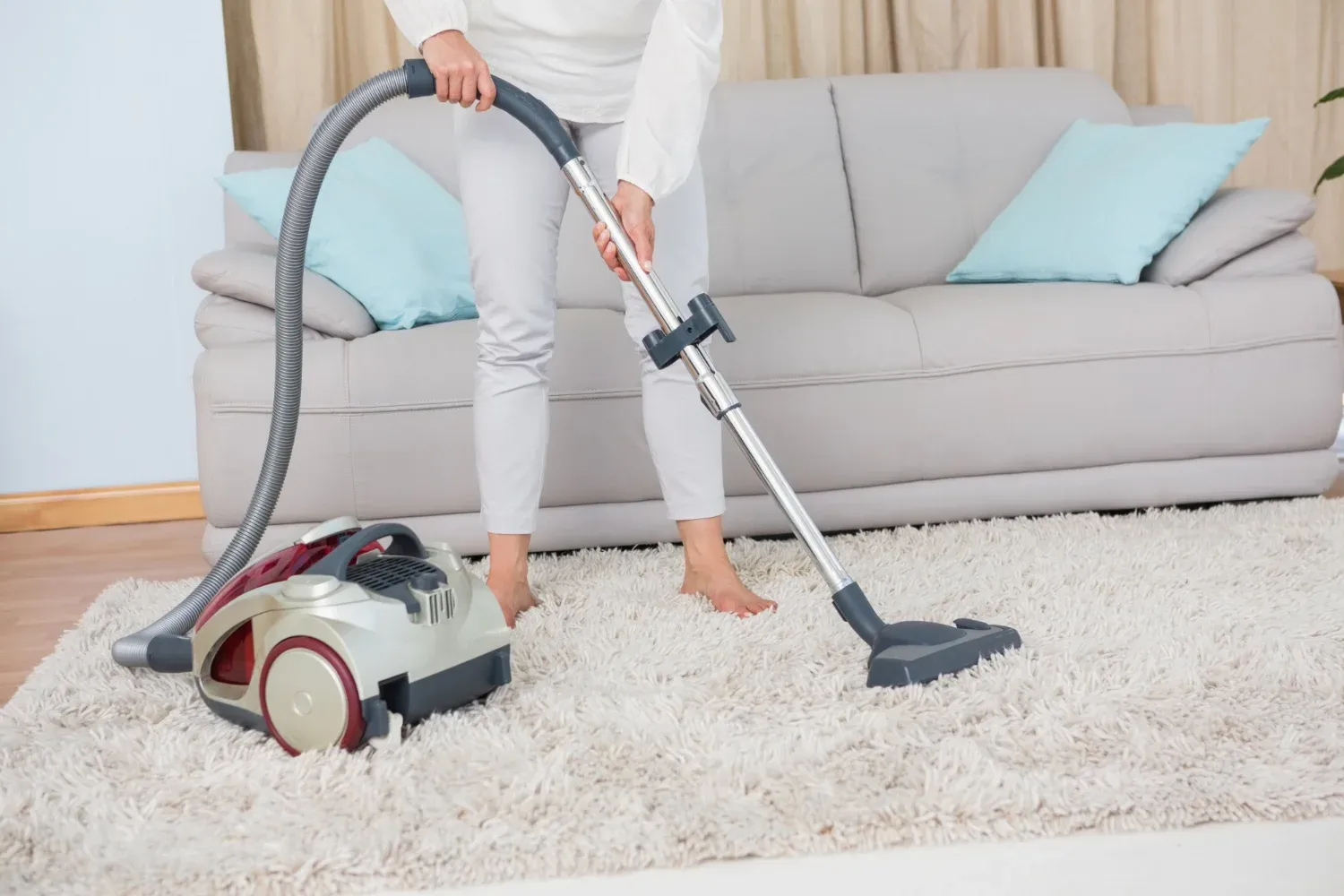 Budget friendly New Westminster area rug cleaner