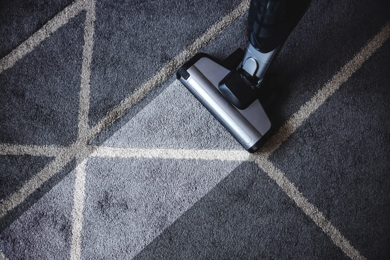Professional Area Rug Cleaning service
