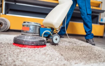 Professional vs. DIY Carpet Cleaning: When to Call in the Experts