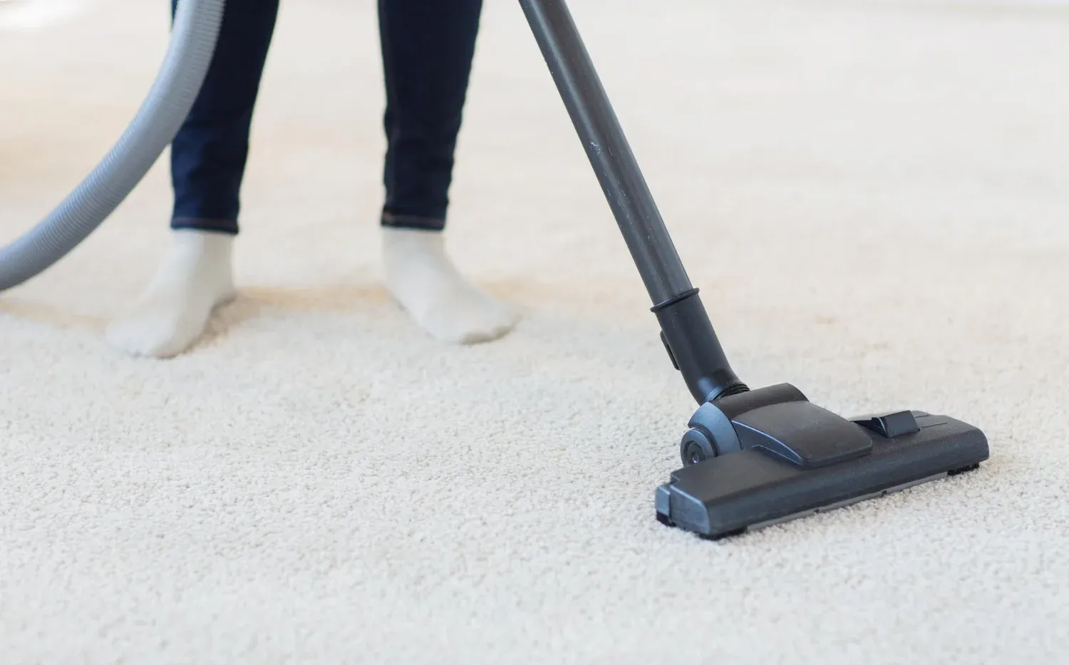 Trusted Burnaby area rug cleaners
