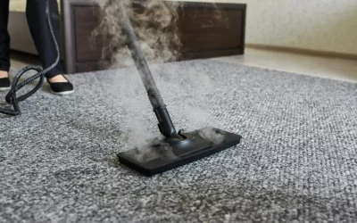 Get Professional Rug Cleaning to Invest in Longevity and Aesthetics