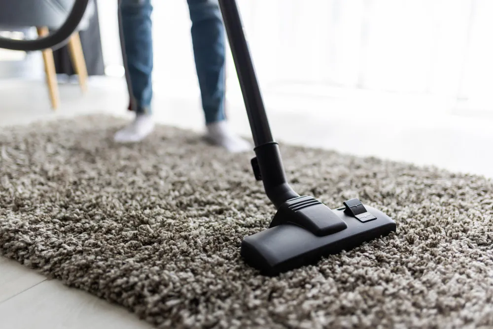 area rug cleaning company