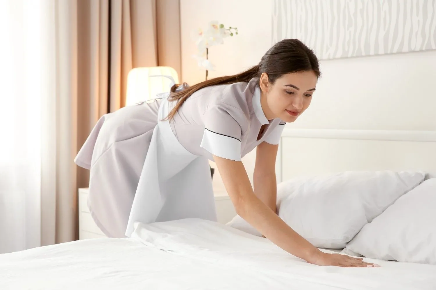 mattress cleaning cost
