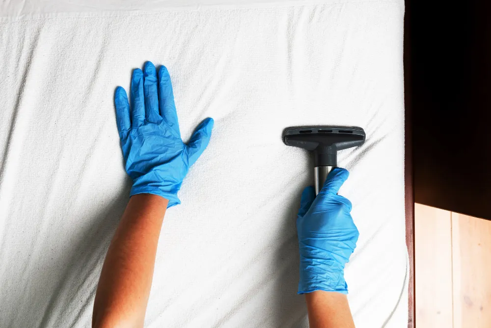 mattress cleaning vancouver cost
