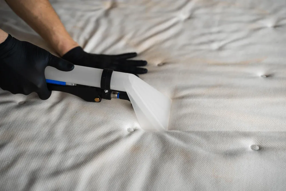 mattress cleaning vancouver