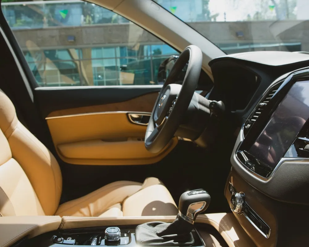 professional car interior cleaners