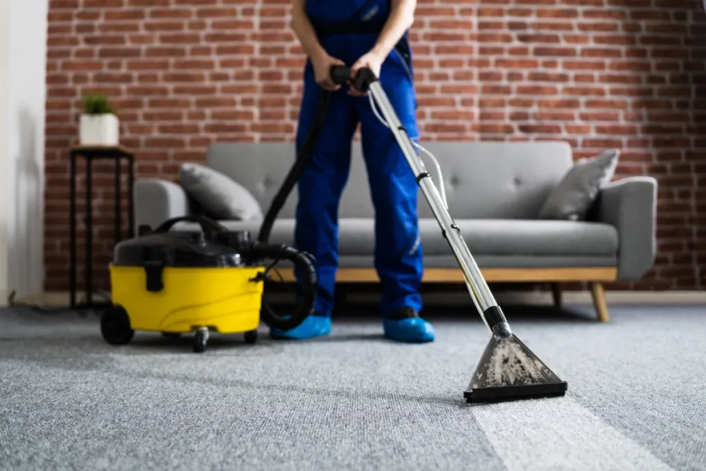 why professional carpet cleaning is better than DIY