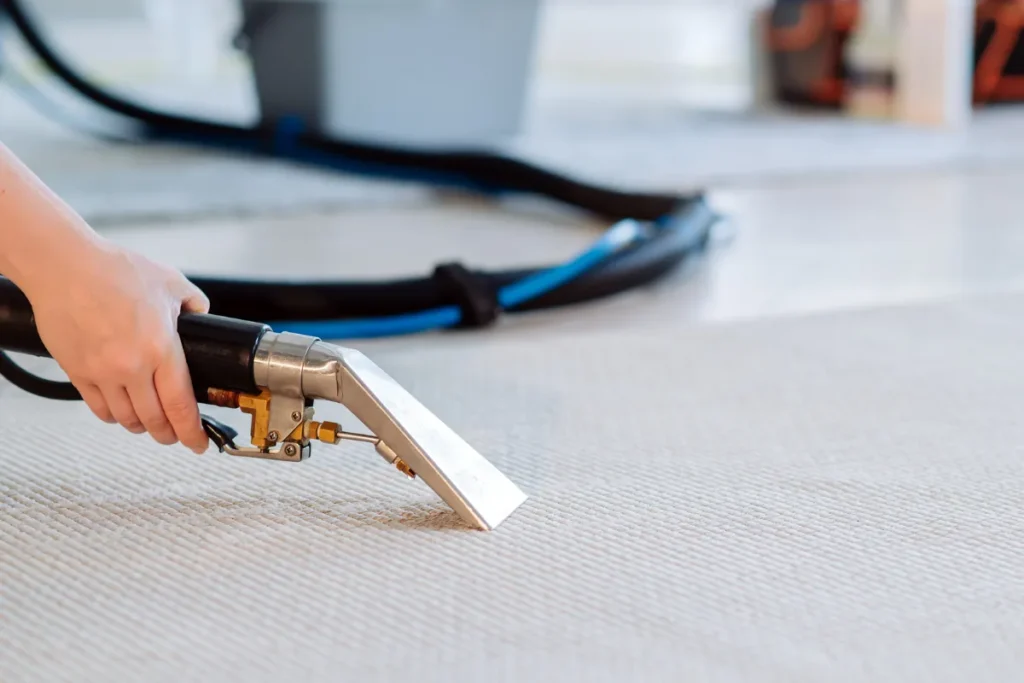 why professional carpet cleaning is better than DIY